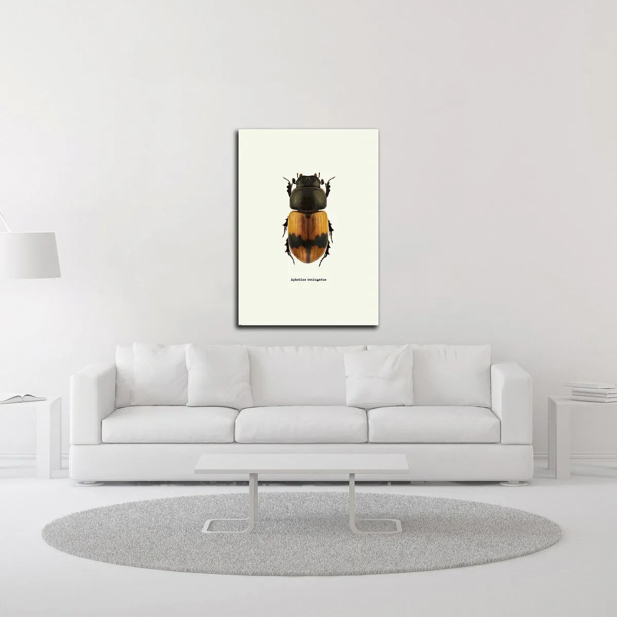 "Beetle Orange" Wrapped Canvas Print Wall Art